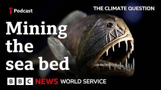 Should we mine the deep ocean? - The Climate Question Podcast, BBC World Service