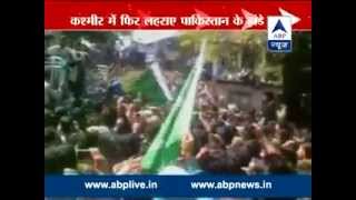 Pakistani flags waved at Geelani rally in J-K