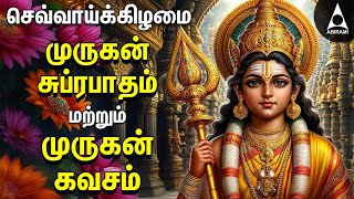 Tuesday Murugan Suprabatham & Murugan Kavasam | SPL MURUGAN TAMIL DEVOTIONAL SONGS