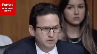 Brian Schatz Grills Corrections Expert On How Programs Lowering 'Recidivism Among Native Hawaiians'