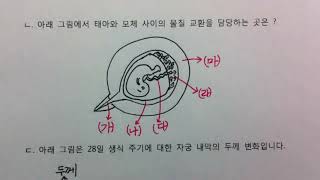 [우프 중3과학] 시험 대비 생물 10강 -  생식 기관과 생식 주기 - 꼭 알아야할 것 총정리