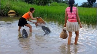 Video Amazing Fishing at Pailin Province   Cambodia Traditional Fishing   Khmer Net Fishing 2017
