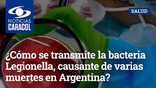 ¿Cómo se transmite la bacteria Legionella, causante de varias muertes en Argentina?
