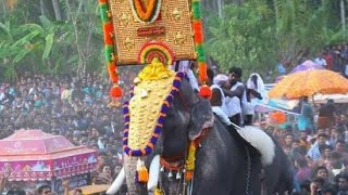 മംഗലാംകുന്ന് കർണ്ണൻ തലയെടുപ്പിന്റെ തമ്പുരാന് പ്രണാമം