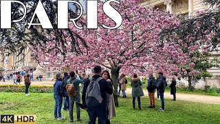 🇫🇷[PARIS 4K] WALK IN PARIS "BEAUTIFUL SPRING WALK" (4K60 FPS VERSION) 12/APRIL/2024