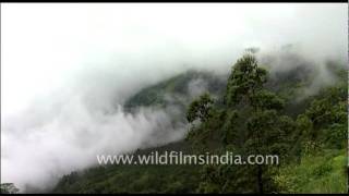 Western Ghats forests with swirling mists and clouds