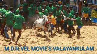 Valayankulam jallikattu peravi