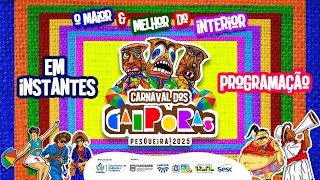 Lançamento do Carnaval dos Caiporas 2025.