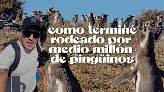 Trelew, 4 days in the land of Welsh people, penguins and dinosaurs | Vlog