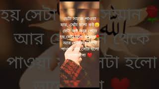 যেটা সহজে পাওয়া যায় সেটা হল কষ্ট #শর্টস #ভাইরাল শর্ট#শর্ট ভিডিও