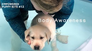 Empowered Puppy Bites #12-Body Awareness