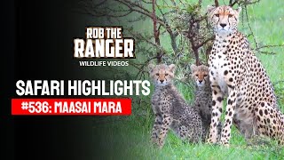 Safari Highlights #536: 16 & 17 December 2019 | Maasai Mara/Zebra Plains | Latest Wildlife Sightings