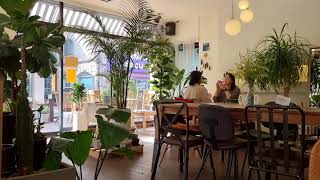 Korean Cafe Ambiance - Café Ohio in Seongnam 성남 카페 오하이오 » Relaxing Ambience ASMR for Sleeping