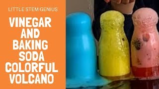 Colorful Volcano using Baking Soda and Vinegar | Science Experiment for Kids by Little STEM Genius