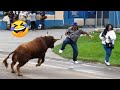 TRY NOT TO LAUGH 😆 Best Funny Videos Compilation 😂😁😆 Memes PART 230