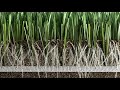 Hybrid grass system POWERgrass - Sistema in erba ibrida