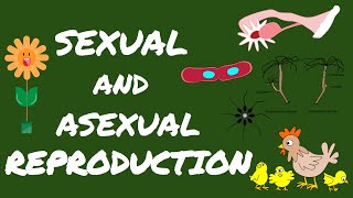 Sexual and Asexual Reproduction Grade 7 Science