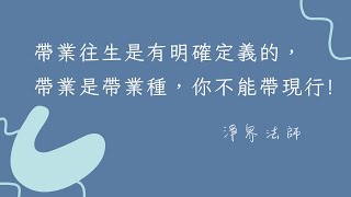 ★ 帶業往生是有明確定義的，帶業是帶業種，你不能帶現行! #淨界法師 #你一生必須要把握的三個修行重點(一) #業力 #業障 #懺悔