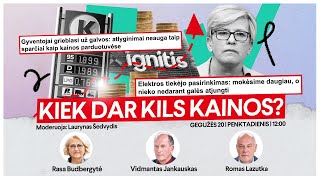 Diskusija: kiek dar kils kainos?