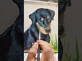 അവസാനം അവന്റെ യജമാനന്റെ അരികിൽ എത്തി youtubeshorts drawing viral_video dog doglovers shorts