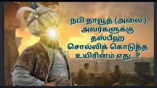 #நபி தாவூத் (அலை) அவர்களுக்கு தஸ்பிஹ் சொல்லிக்கொடுத்த உயிரினம்?? #Islamic Riddles#