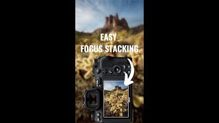 FOCUS Stacking Made SUPER Easy | Landscape Photography