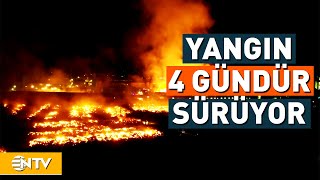 Aydın Söke'de Kağıt Fabrikası 4 Gündür Yanıyor | NTV