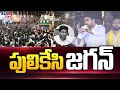 పులికేసి జగన్.. ! | Nara Lokesh Latest Comments YS Jagan | TDP Yuvagalam Padayatra | TV5 News