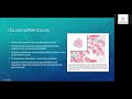 sistema bethesda para el reporte de citologia cervical parte 1