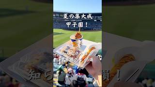 夏の甲子園グルメ5選！⚾️🍛