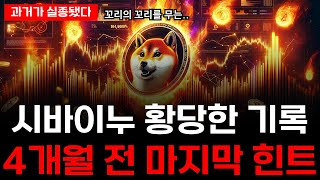 시바이누의 황당한 기록