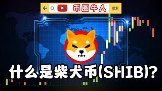 什么是柴犬币（SHIB）？What is Shiba Inucoin (SHIB)?