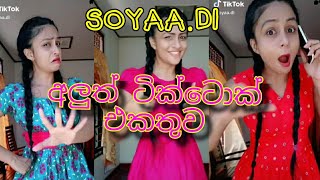 soyaa.di new tik tok collection