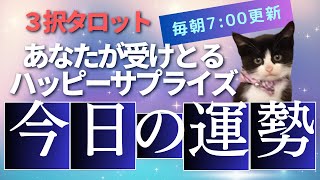 【６月１８日】サクッと今日の運勢【３択タロット】すべてミュートで見ても大丈夫です🍒これから２４時間以内に起きること🌈