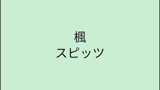 【歌詞付き】 楓 - スピッツ