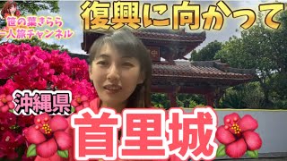 #沖縄 #那覇 #旅行動画 #世界遺産 #一人旅 #旅行 #travel #JAPAN #okinawa #首里城 #旅行支援 #首里城公園 #花粉対策 #復興現場 #琉球王国 #琉球 #復興