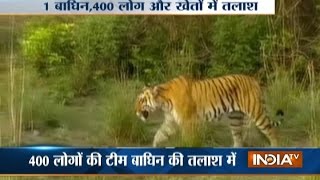 Uttarakhand Police Hunting for Tigress Who Killed 2, Injured 7 People in Ramnagar