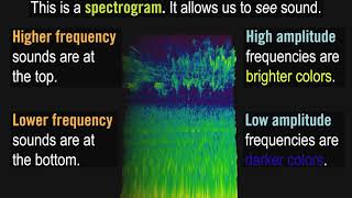 What is a Spectrogram?