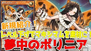 【ラッシュデュエル】新規紹介！夢中のポリニア！レベル10マキシマムも素材に出来るように！！！【遊戯王】