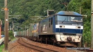 JR貨物 EF210-166号機+コキ26B 貨物列車1055レ 瀬野→中野東 2013.8