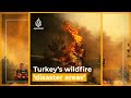 Turkey declares ‘disaster areas’ as wildfire death toll rises | Al Jazeera Newsfeed