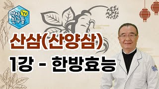 산삼(산양삼) 1강 - 한방효능 (고성권 약학박사)