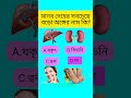 শরীরের সবচেয়ে বড় অঙ্গ biggest organ of human body short gk bengali gk gk