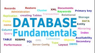 Database Fundamentals for Beginners | Database Tutorial