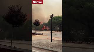Portugal wildfire rages amid heatwave #shorts