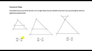 Raportul a doua segmente Teorema lui Thales Teorema bisectoarei Teorema fundamentala a asemanarii