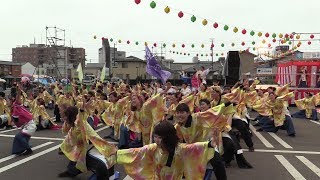 令和のもみさんぽ・銭形よさこい⑨（第54回銭形まつり）【香川県観音寺市】（令和元年・2019）