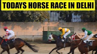 Horse Race at Delhi Race Club