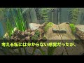 【スカッとする話】義母と一緒になって嫁いびりする夫「嫁としての教育だよ。文句あるなら出て行けば？あっ、帰る家ないのかｗ」両親がいない私「わかった、実家に帰るわ」夫「はぁ？」実は…【修羅場】