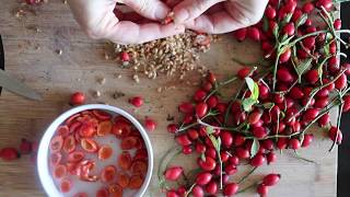 Rosehip powder